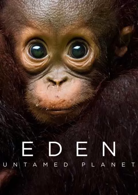 伊甸园：最后的秘境